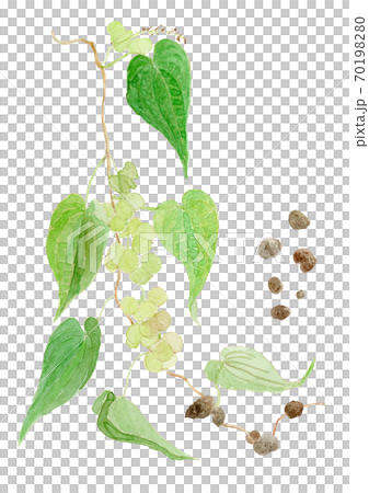 薯山農和牧後 薯山農和牧後 70198280