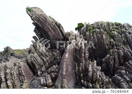 タービダイト【室戸世界ジオパーク】 タービダイト【室戸世界ジオパーク】 70198464