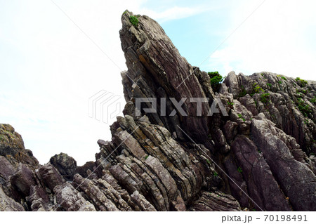 タービダイト【室戸世界ジオパーク】 タービダイト【室戸世界ジオパーク】 70198491