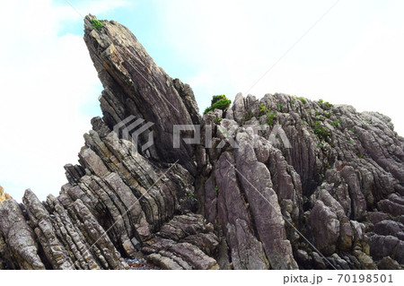 タービダイト【室戸世界ジオパーク】 70198501