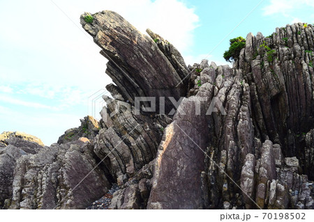 タービダイト【室戸世界ジオパーク】 70198502