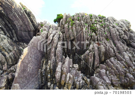 タービダイト【室戸世界ジオパーク】 70198503