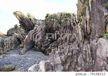 タービダイト【室戸世界ジオパーク】 タービダイト【室戸世界ジオパーク】 70198512