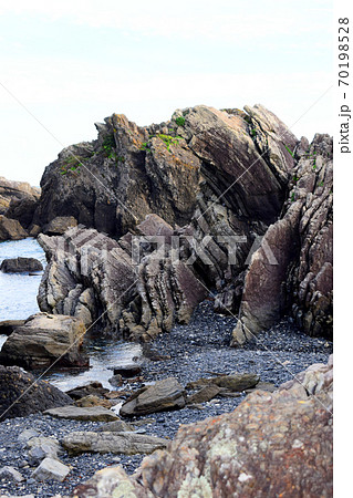 タービダイト【室戸世界ジオパーク】 タービダイト【室戸世界ジオパーク】 70198528