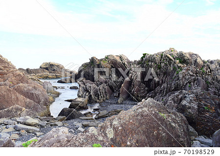 タービダイト【室戸世界ジオパーク】 タービダイト【室戸世界ジオパーク】 70198529