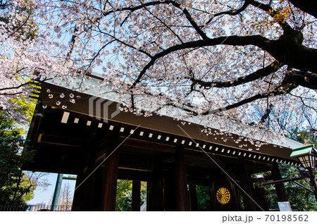 東京都　靖國神社（神門と桜） 70198562