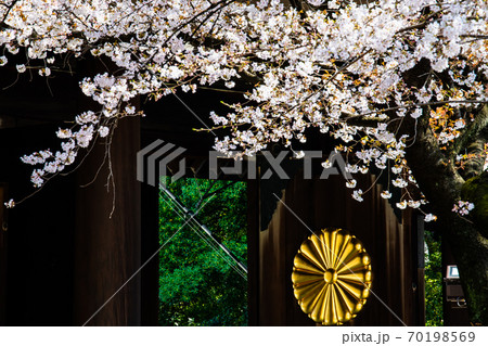 東京都　靖國神社（神門と桜） 70198569