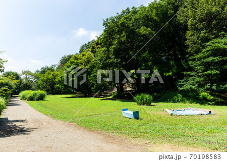 調布市野草園となりの広場 東京都調布市深大寺南町の写真素材
