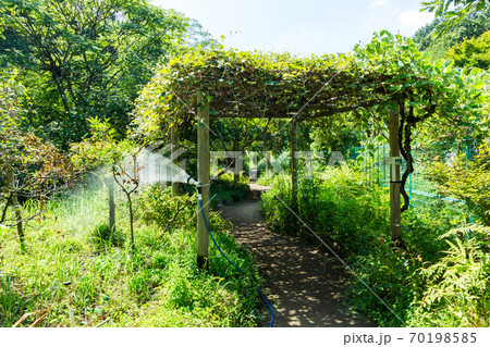 調布市野草園の景色 東京都調布市深大寺南町の写真素材