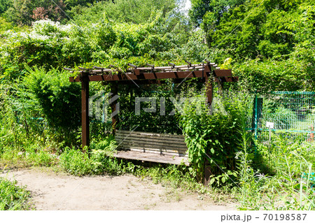 調布市野草園を散歩 東京都調布市深大寺南町の写真素材