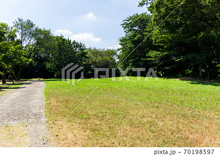 調布市野草園となりの広場　青空　東京都調布市深大寺南町 70198597