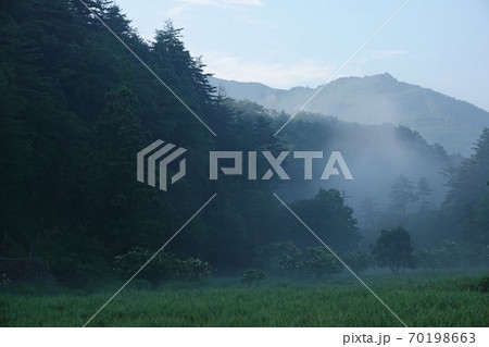 早朝の黒澤湿原から見える国見山 早朝の黒澤湿原から見える国見山 70198663