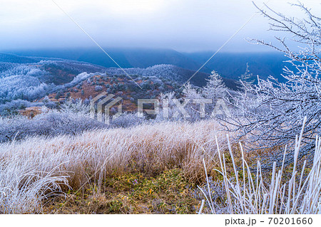 高ボッチ高原の朝の霧氷の風景 【長野県】 高ボッチ高原の朝の霧氷の風景 【長野県】 70201660