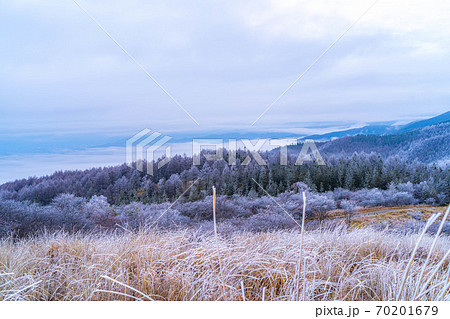 高ボッチ高原の朝の霧氷の風景 【長野県】 高ボッチ高原の朝の霧氷の風景 【長野県】 70201679