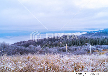 高ボッチ高原の朝の霧氷の風景　【長野県】 70201682