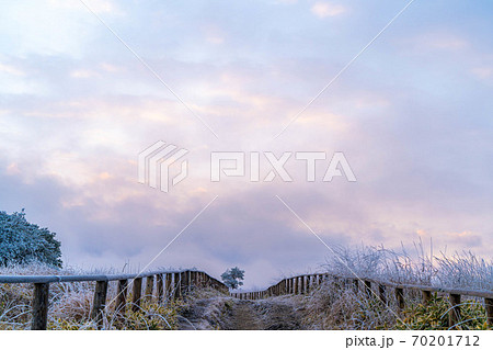 高ボッチ高原の朝の霧氷の風景 【長野県】 高ボッチ高原の朝の霧氷の風景 【長野県】 70201712