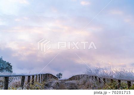 高ボッチ高原の朝の霧氷の風景　【長野県】 70201715