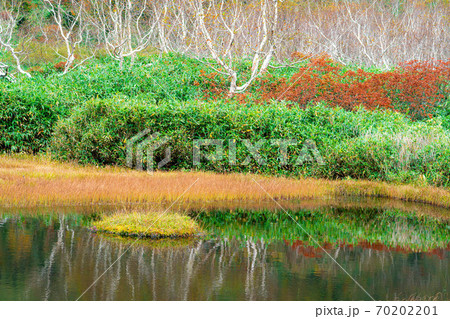 栂池自然園　浮島湿原の秋　【長野県】 70202201