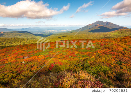 三ツ石山山頂からの紅葉／岩手県八幡平市 70202681