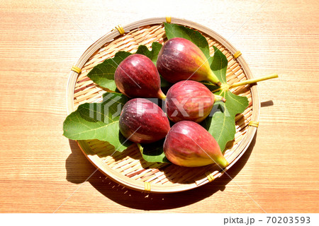 いちじく　無花果　イチジク　秋の味覚　秋の果物 70203593