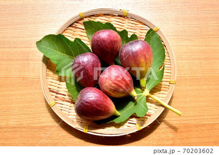 いちじく　無花果　イチジク　秋の味覚　秋の果物 70203602