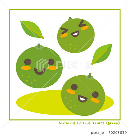 なちゅらるズ　柑橘系果実（緑系）で収穫のご案内 70203839