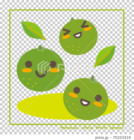 なちゅらるズ　柑橘系果実（緑系）で収穫のご案内 70203839