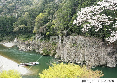 桜咲く瀞峡とジェット船 70203976