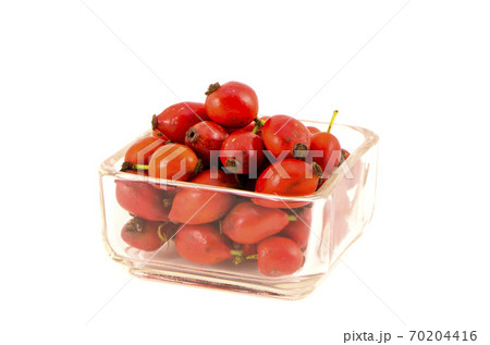 wild dog rose fruits in glass plate isolated on white 70204416