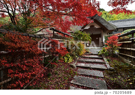 直指庵の紅葉 直指庵の紅葉 70205689