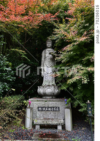 直指庵の紅葉 70206016
