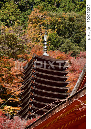 談山神社の紅葉 70206029