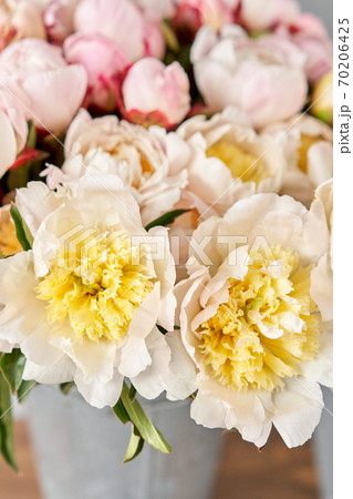 Beautiful white peony flower for catalog or online store. Floral shop concept . Beautiful fresh cut bouquet. Flowers delivery Beautiful white peony flower for catalog or online store. Floral shop concept . Beautiful fresh cut bouquet. Flowers delivery 70206425