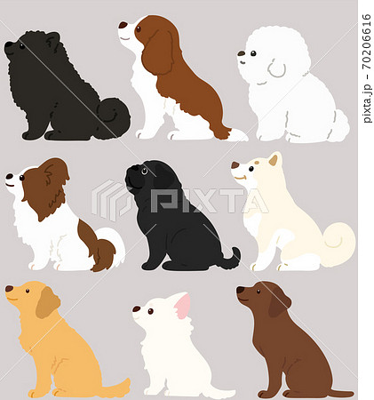 横向きでお座りする色々な犬のシンプルで可愛いイラスト セットc 主線なしのイラスト素材