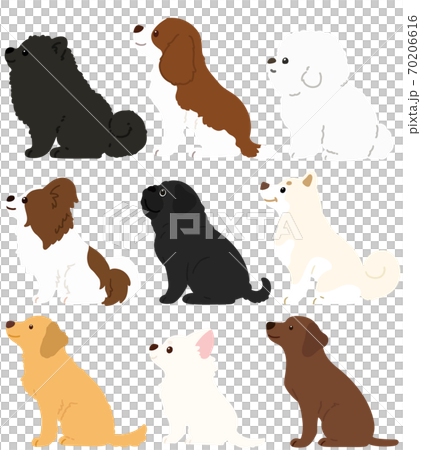 横向きでお座りする色々な犬のシンプルで可愛いイラスト　セットC　主線なし 70206616
