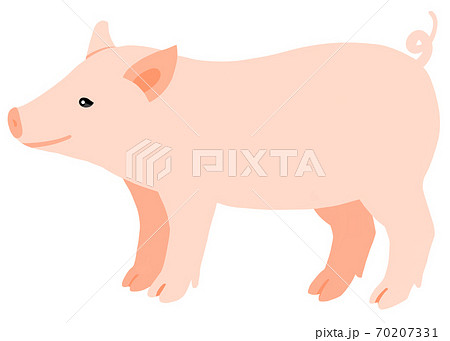 シンプルな子豚のイラストのイラスト素材