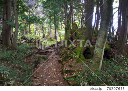 日光・湯ノ湖畔 国立公園内にある湯ノ湖一周ハイキング 日光・湯ノ湖畔 国立公園内にある湯ノ湖一周ハイキング 70207653
