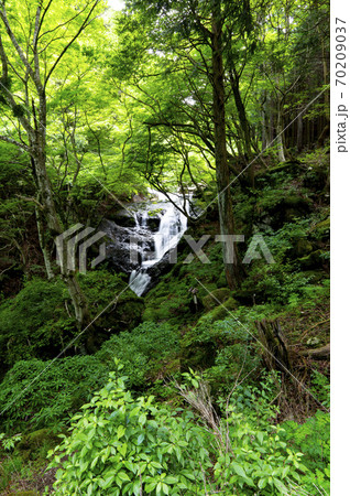不撓不屈の滝 不撓不屈の滝 70209037