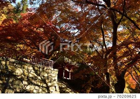 談山神社の紅葉 談山神社の紅葉 70209625