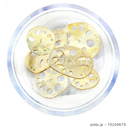 Watercolor lotus root on plate Watercolor lotus root on plate 70209679