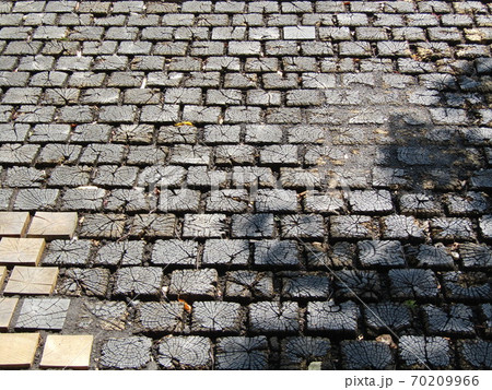 栗の木歩道 70209966