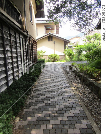 栗の木歩道 栗の木歩道 70209973