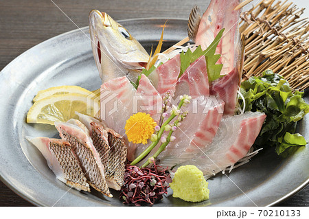 イサキのお造り（斜め上から全体アップ） 70210133