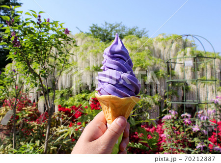 藤ソフト 70212887