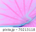 青い線と抽象的なピンクの背景 70213118