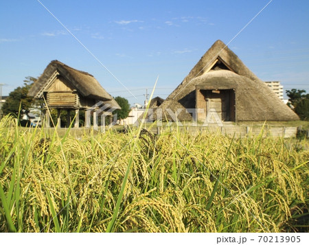 ＜登呂遺跡＞稲穂と竪穴式住居と高床式倉庫 70213905