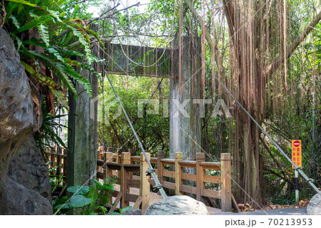 台北 台北市 タイペイ 70213953