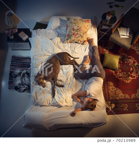 Portrait of a woman, female breeder sleeping in the bed with her dog at home Portrait of a woman, female breeder sleeping in the bed with her dog at home 70213989