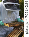 Beekeeper inspecting a frame of honey from hive 70214284