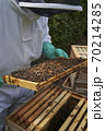 Beekeeper inspecting a frame of honey from hive 70214285